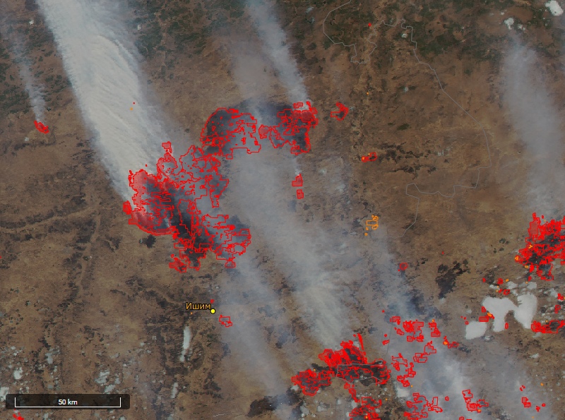 Лесные пожары в Тюменской области 2021 карта