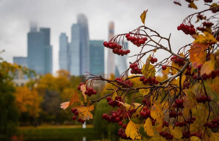 Будет ли потепление в Москве в сентябре 2021 года: прогноз