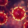Данные по заразившимся и умершим от коронавируса на 16 октября 2021