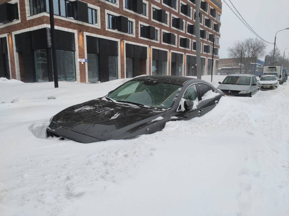 Когда выпадет снег и начнутся морозы в Москве