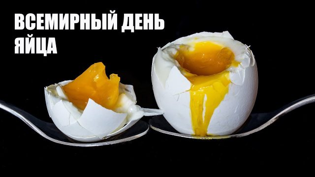 Прикольные картинки со Всемирным днем яйца