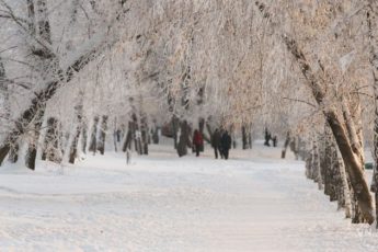 Прогноз на зиму 2021 2022 в Новосибирске и Новосибирской области