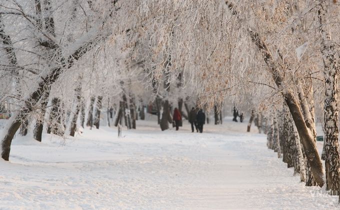 Прогноз на зиму 2021 2022 в Новосибирске и Новосибирской области