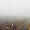 Туман в Воронеже - когда спадет