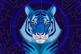 Каким знакам зодиака повезет в 2022 году в год Тигра