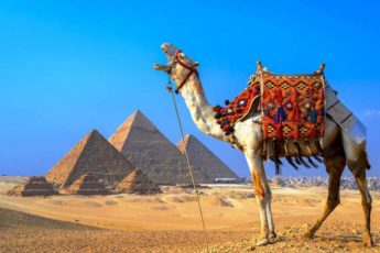 Закроют ли Египет для туристов из за коронавируса в декабре 2021