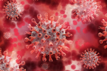 Омикрон: что это за новый штамм коронавируса, правда ли, что он появился в России в 2021