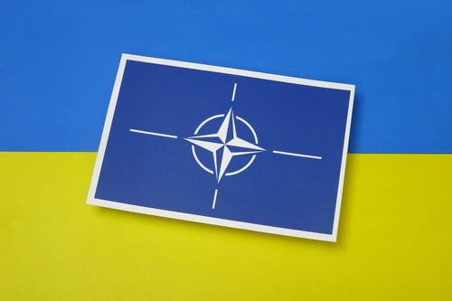 Депутат Белик: Запад использует надежды Украины на вступление в НАТО как рычаг давления на Россию