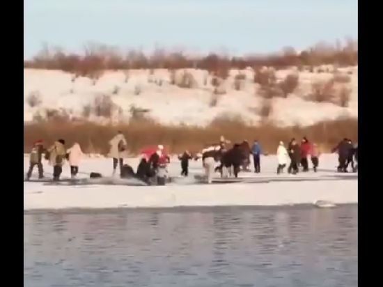 Прорвавшаяся к лебедям толпа российских туристов провалилась под лёд