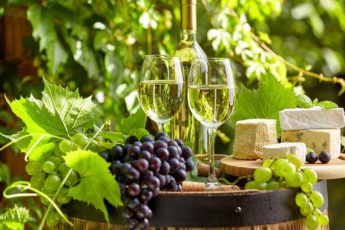 18 февраля отмечается необычный праздник - Международный день вина