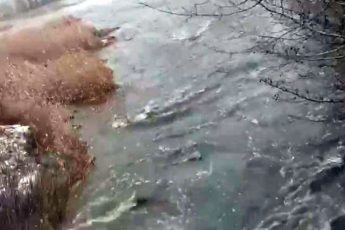 ВСУ взорвали дамбу в Артемовске на водохранилище «Северный ставок»